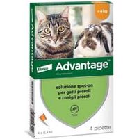 ANTIPARASSITARIO ADVANTAGE PER GATTI E CONIGLI FINO A KG.4 in conf. da 4 pipette SPOTON ADVANTAGE