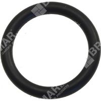 O-Ring für KOMPATIBLE BERTOLINI-Pumpen - 007693