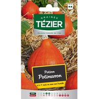Tezier - Potiron Potimarron