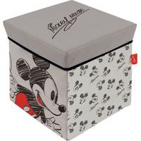 Cube de rangement avec Couvercle - Disney Mickey Mains Sur Ses Hanches - 30x30x30 cm