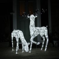 Light Up Reindeer White Stag And Doe Set Christmas Decoration