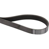 Cinghia scanalata Hatz HATZ 50203101