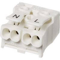 Adels-Contact 21714 LK 980-01/2B Leuchtenklemme flexibel: -2.5 mm² starr: -2.5 mm² Polzahl: 2 1 St.