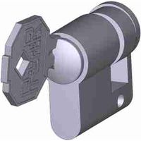 Cerradura Din Con Llave Preferible 7035 CAME 119R36887035