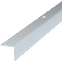 Profilé de nez de marche avec matériel de fixation - 200cm x 20mm x 20mm argenté