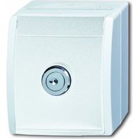 BUSCH-J. SCHUKO-STECKDOSE 20 EWSL-101-54 2CKA002083A0833