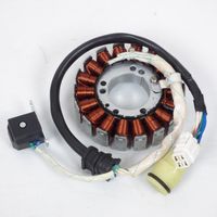 Lichtmaschine Stator für Motorrad Suzuki 650 DR SM 2006 bis 2009