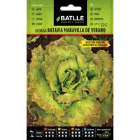 Batlle Semillas de Lechuga Maravilla de Vereno Maresme - 3 Bolsitas