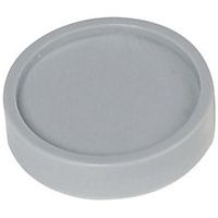 Imanes redondos Ø 30 mm UE 100 unid en gris