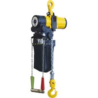 Delta Druckluft Kettenzug für ATEX Zone 2 Tragkraft 0,5t Länge 3,0m