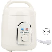 Générateur de vapeur 1.5L pour sauna et spa, antidéflagrant, appareil de cuisson à vapeur, évaporateur (220V prise UE)
