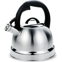 Bouilloire électrique maestro MR 1329 noir 2 9 litres 2200 watts