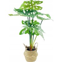 Pianta artificiale eurofirany Home Styling Collection verde 30x51 cm