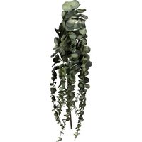Branchage Artificiel Eucalyptus en Polyéthylène Vert Naturel 70cm