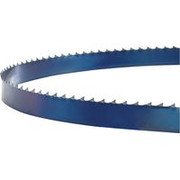 Lame de scie pour scies verticales HBS251 Holzstar 5160250