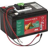 Batteria AGM 12 V 15 Ah