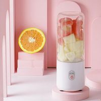 Mini blender - Blender portable - Appareil à smoothies - Extracteur de jus - Mixeur à fruits