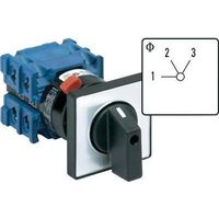 Kraus-Naimer CH10 A230-600 FT2 conmutador rotativo gris