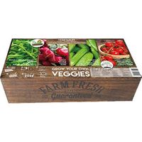 Carré de Potager Légumes avec mini serres