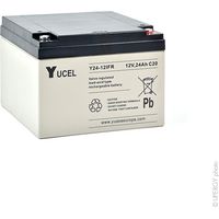 Yucel - Batterie plomb AGM YUCEL Y24-12IFR 12V 24Ah M5-F