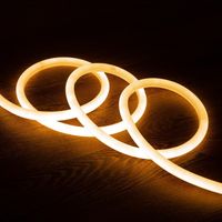 LED-Streifen Neon Dimmbar 220V Warmweiß Rund 360° 9W/m Schnitt 100cm IP67 nach Maß 5 m