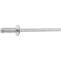 Rivet tête large - diamètre 4,8 mm - 12 mm - Boîte de 500 - Rifix