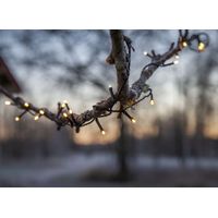LED-Lichterkette "Flashy", 100 warmweiße LED