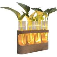 Verre Terrarium Dekoration verstellbare LED Holzständer