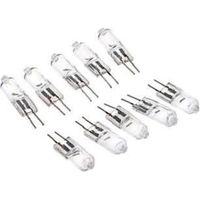 10 PCS G4 JC Type Lampe d\'ampoule halogène 12V 10W 10 Watt Blanc chaud clair