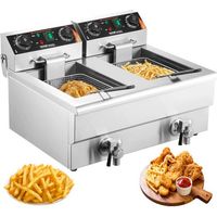 Friteuse Électrique Commerciale 6000 W Friteuse à Huile de