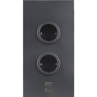 Caressi Ecksteckdose 2ST220 - Steckdose 2fach mit 2x USB für die vertikale Montage in einer Ecke, Edelstahl schwarz, 230V