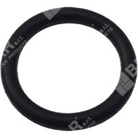 O-RING tappo pompa per motopompe DUCAR COMPATIBILE - 049571