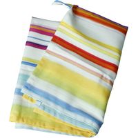 Brandani Aria strofinaccio cotone multicolor righe sfumate
