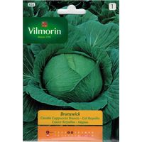 Col Samen Brunswick Vilmorin 6G Kohl