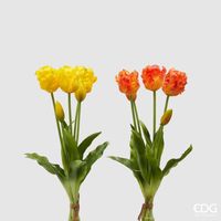 EDG Enzo De Gasperi Bouquet 5 Tulipani Parrot Olis Ass. H 40 Cm Yellow Orange 1 Pz