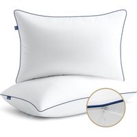 BedStory Cuscini Letto Matrimoniale, Cuscini per Divano 65 x 65 - Set di 2 cuscini regolabili in altezza, ipoallergenici, lavabili in lavatrice