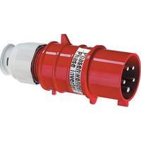 Fiche BALS B0002288