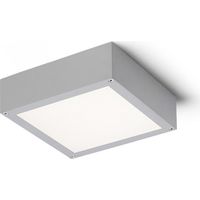 Plafoniera SCOTT da soffitto grigio argento 230V LED 9.8W IP54 3000K