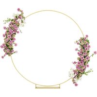Arco de Jardín de Metal Redondo para Rosas Arco de Boda con Recubrimiento en Polvo para Decoración 230x28x234 cm Dorado