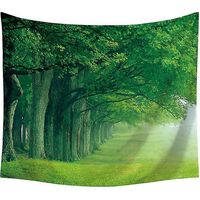 1 tapisserie de paysage