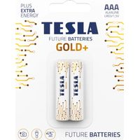 Tesla Gold+ LR03 AAA Alkaline-Batterien 2 Stück.