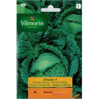 Colle Samen der Tugenden 4 Vilmorin 6g