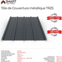 Tôle bac acier - Toiture - Couverture - plaque TR25 Coloris Gris Anthracite RAL 7016 Dimensions 2000x1110x0.50mm