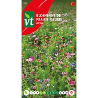 Espace Fleuri Nectar - Ca. 15 graines (Livraison Gratuite)