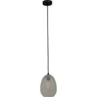Lampe suspendue noire Pineapple avec verre clair - 2290-05-00