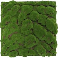 JANGAL Modular Wall Akustik 3D Paneele 520 x 520 mm Forest Green Big Bulk Design Moos Kunst Pflanzwand Moospaneele