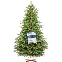 Sapin de Noël artificiel 220 cm – Forme en cloche – Rameaux en PE pour réalisme – Pied en bois massif – Fabriqué en Europe – Fairytrees