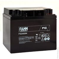 Fiamm - Batterie plomb AGM FG24204 12V 42Ah M6-M
