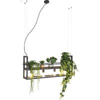QAZQA Industrial Lámpara colgante industrial negra con estante de madera 4 luces - Cage Rack Acero / Alargada Adecuado para LED Max. 4 x 60 Watt