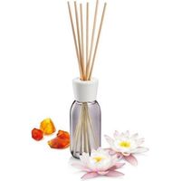 Diffusore Essenza Loto/Ambra Ml 120 Fancy Tescoma